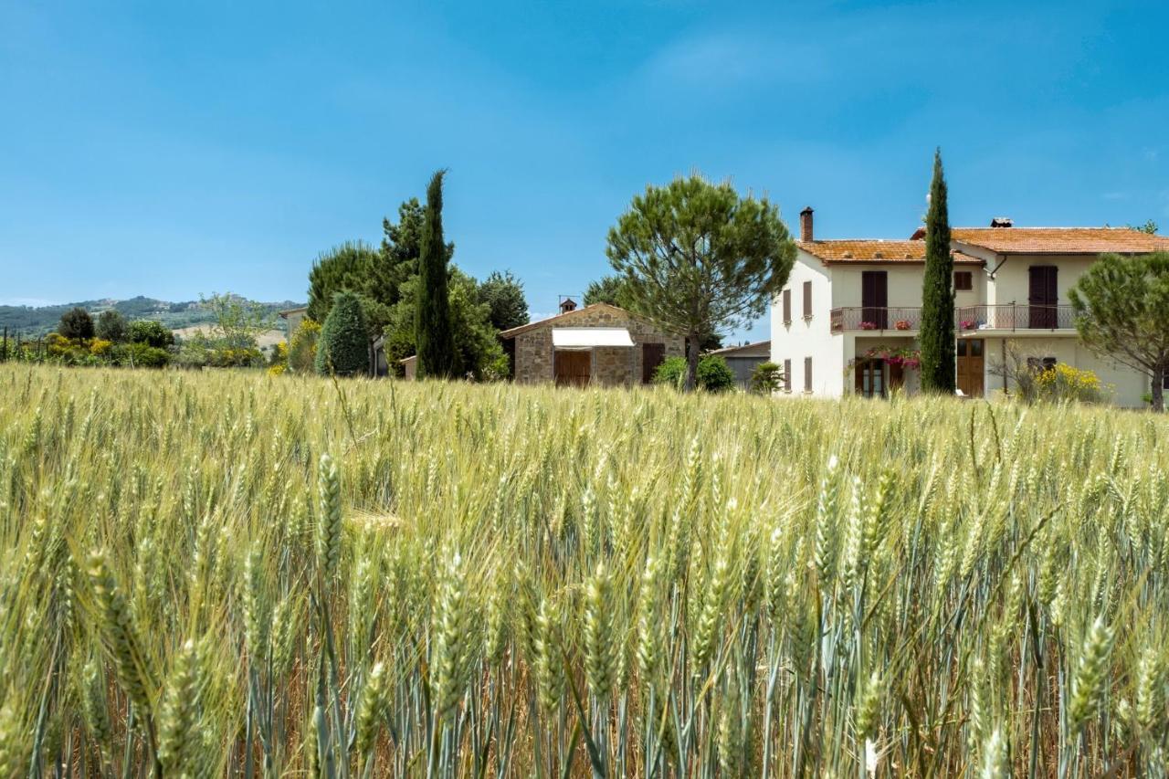 San Marcello * Castiglione d'Orcia
